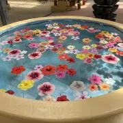 ラベンダーの画像