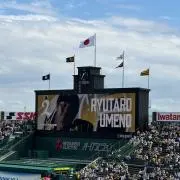 ナックルカーブ