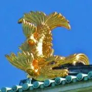 t☆の画像