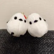 フィオーレの画像