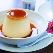 柴犬