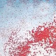 なつき【値下げ交渉可】の画像