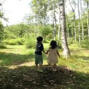 apricotの画像