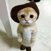 Yukiの画像