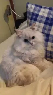 kickの画像
