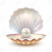 パールの画像