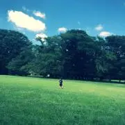 こまの画像