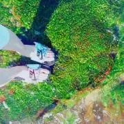 suuu【即購入OK】の画像