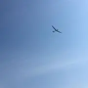Tの画像