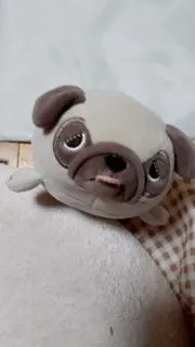 キラ☆キラの画像