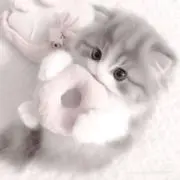 まりの画像