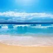 takiの画像