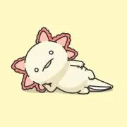 ゆめの画像