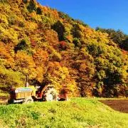 maiの画像