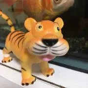 TORA29の画像