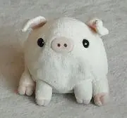 butatiの画像