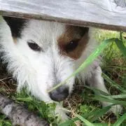 えっちゃん