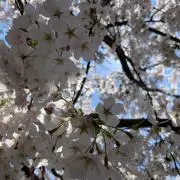 103（購入時注意点プロフに記載）の画像