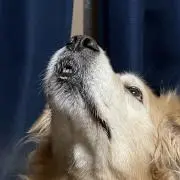 そら。の画像