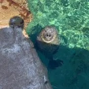 anの画像