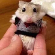 ちゅおりん