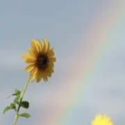 ∮H※E♫の画像