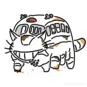 輪廻の画像