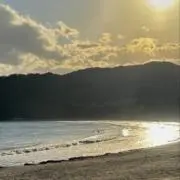 波平の画像