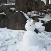 けんの画像