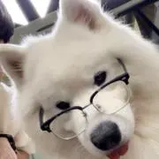 iroの画像