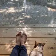 にっしー