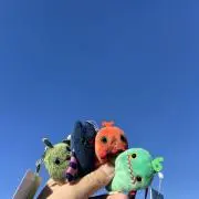 ぷりんの画像