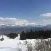 ちぇりーの画像