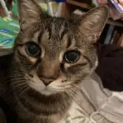 ちぃの画像