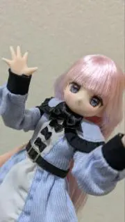 カズーラの画像