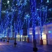 クラッシィ ☆プロフ必読してください ☆