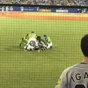 おさるの画像