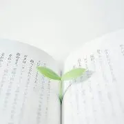 かつおの画像