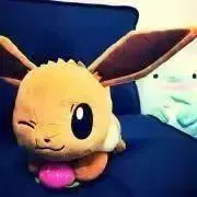 ホタルの画像