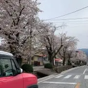 sの画像