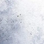 さなぎ
