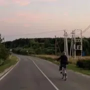 がくせいの画像