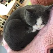 一期一会の画像