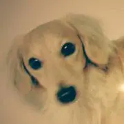 あいす