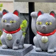 まねきねこの画像