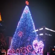 mochicoの画像