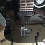 フェルナンデス TEJ-75 布袋仕様 ボディーのみ - メルカリ