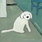 Aの画像