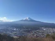 チェリーの画像