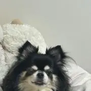 も